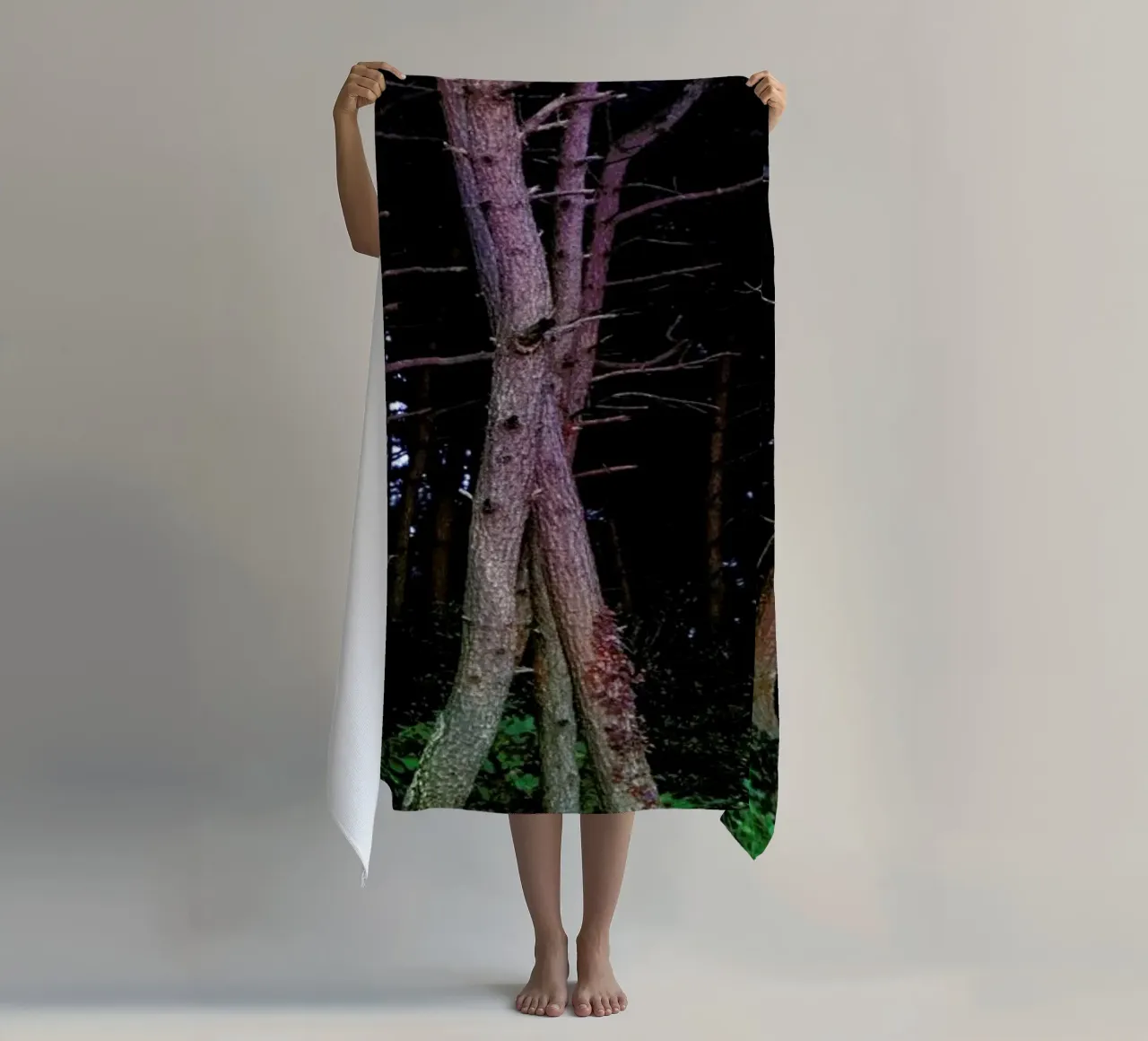 Busan Trees telo mare da Julian Wolkenstein