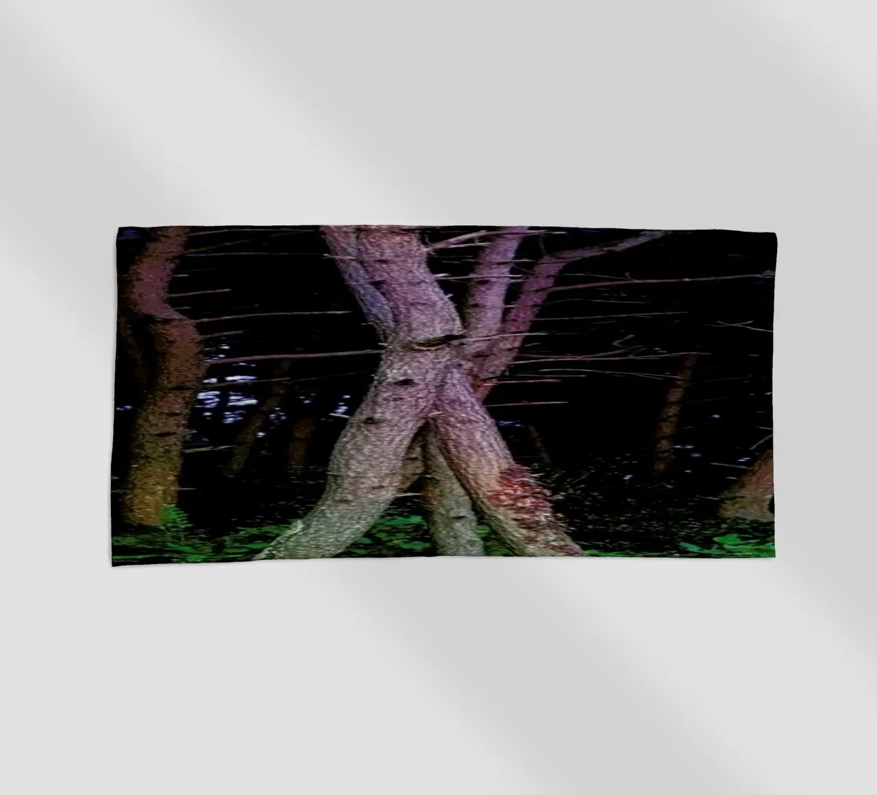 Busan Trees telo mare da Julian Wolkenstein