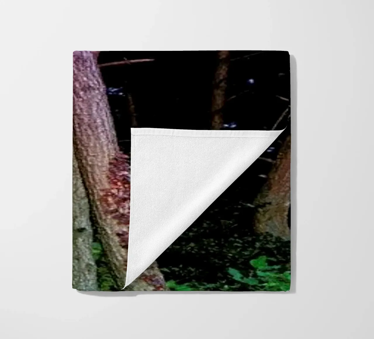 Busan Trees telo mare da Julian Wolkenstein