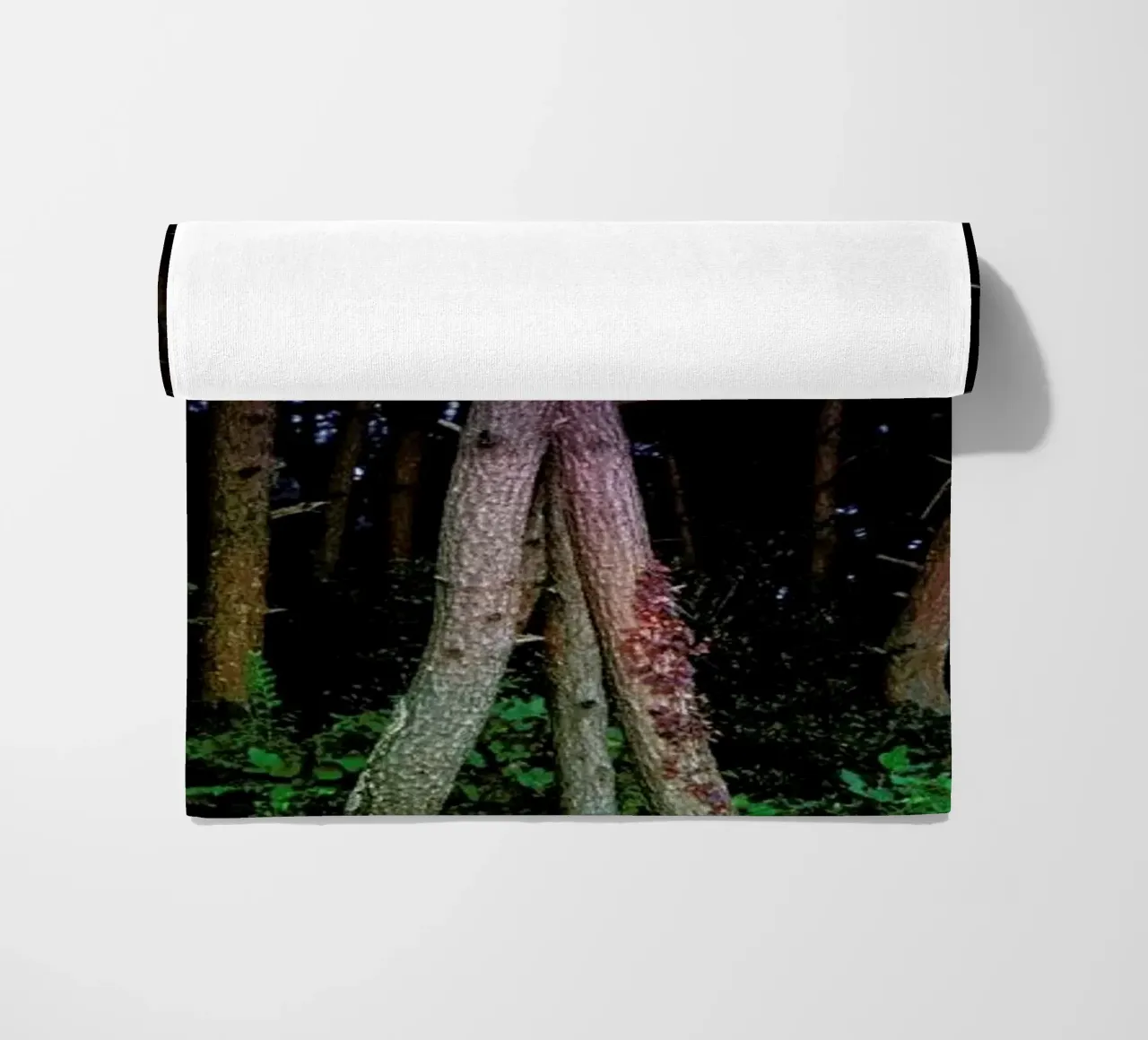 Busan Trees telo mare da Julian Wolkenstein