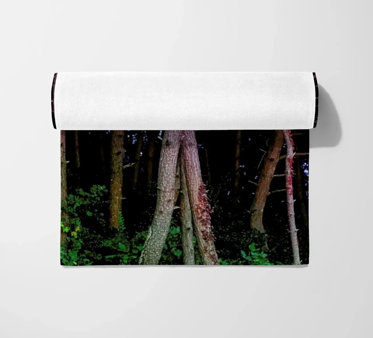 Busan Trees telo mare da Julian Wolkenstein