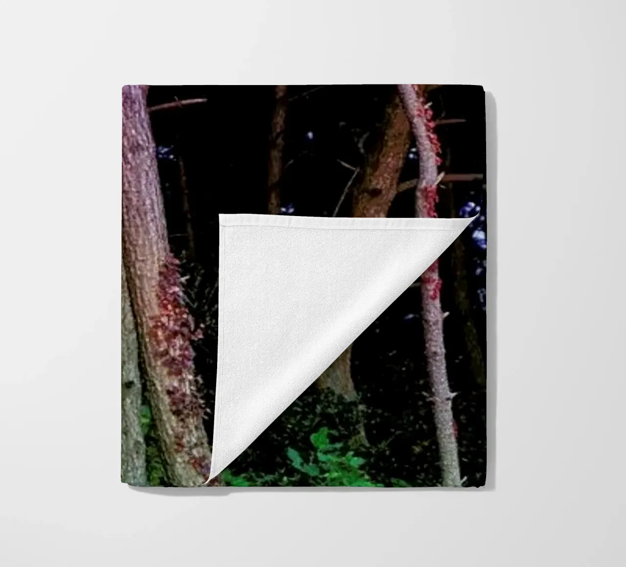 Busan Trees telo mare da Julian Wolkenstein