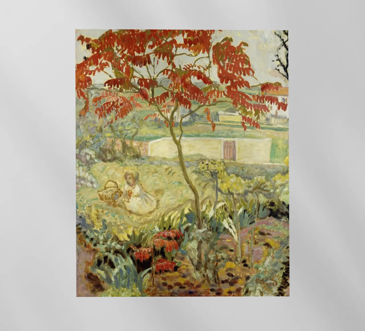 Pierre Bonnard - Il giardino e l'albero rosso pellicola backlit da ARTOTHEK