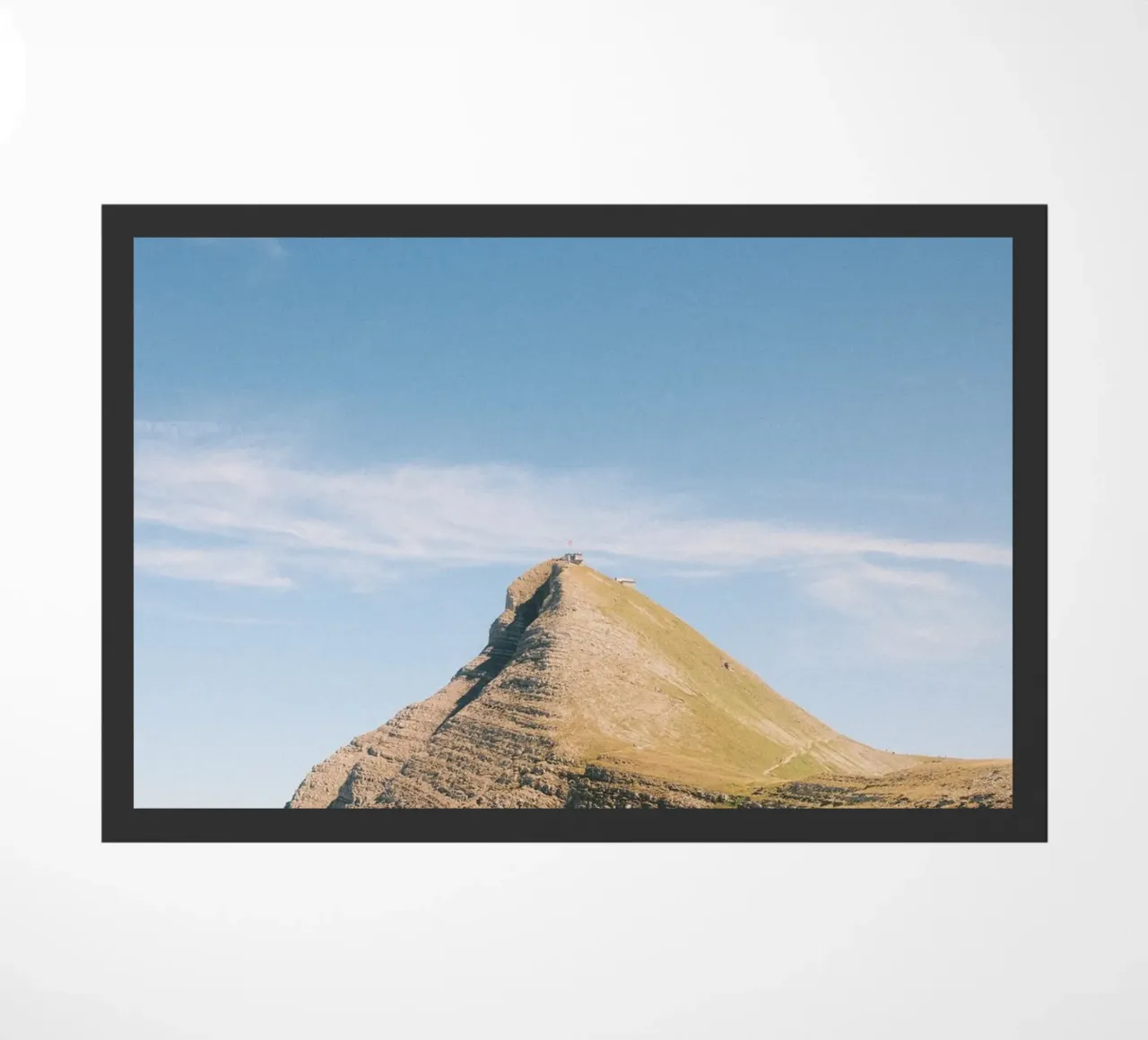 The Lone Summit zerbino da FujiSwiss