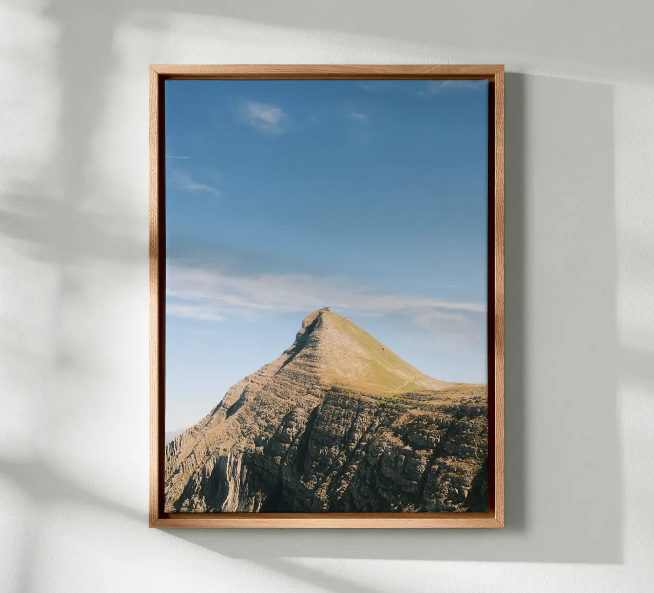 The Lone Summit canvas by FujiSwiss