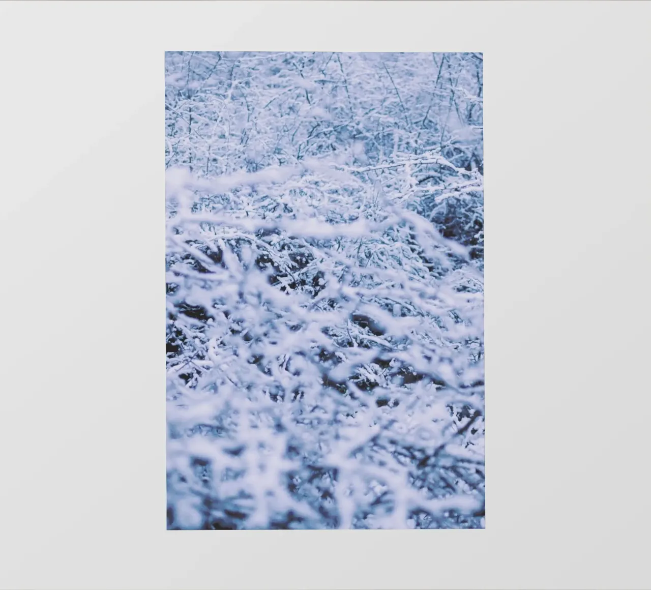 The Snow pellicola backlit da Pale Grain