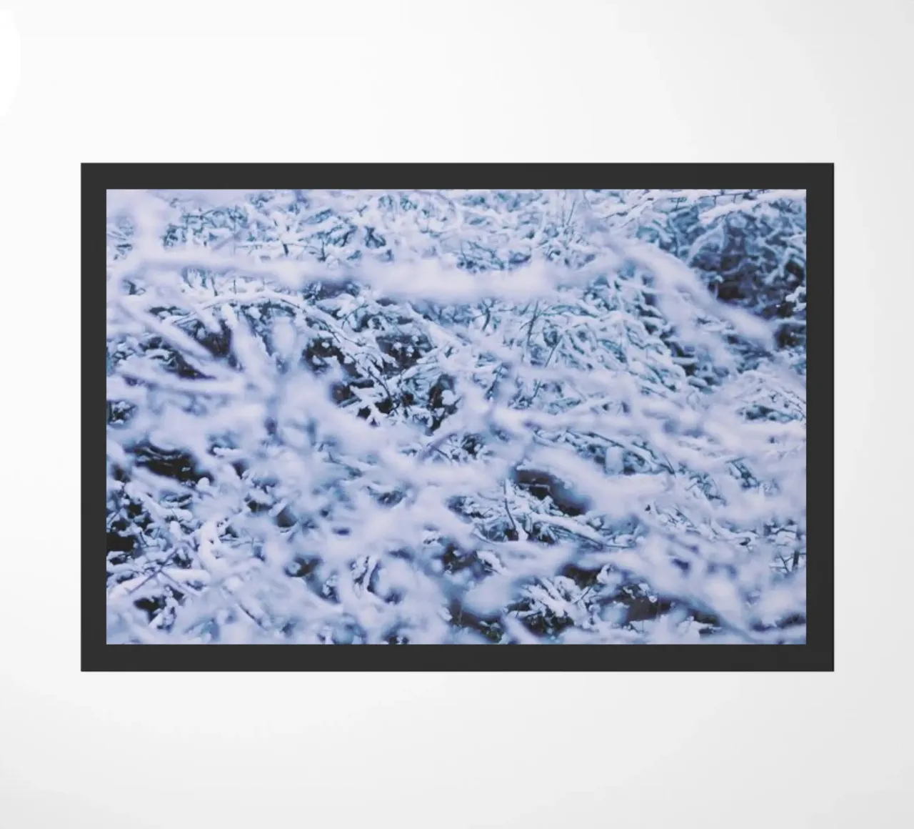 The Snow zerbino da Pale Grain