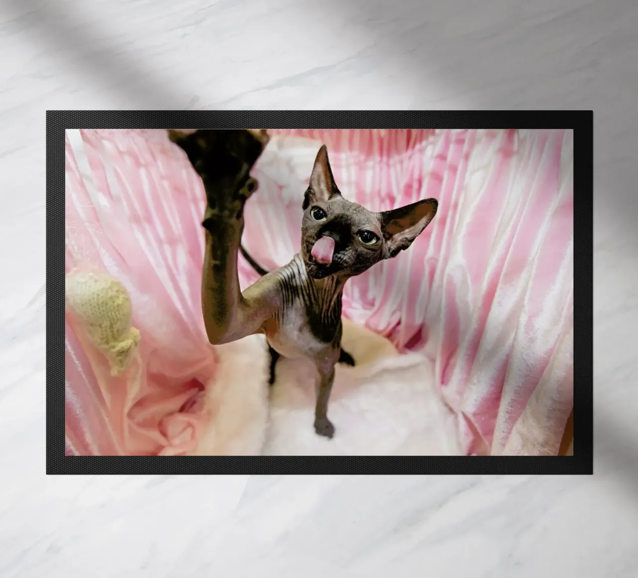 Cat Show zerbino da Charlotte Curd