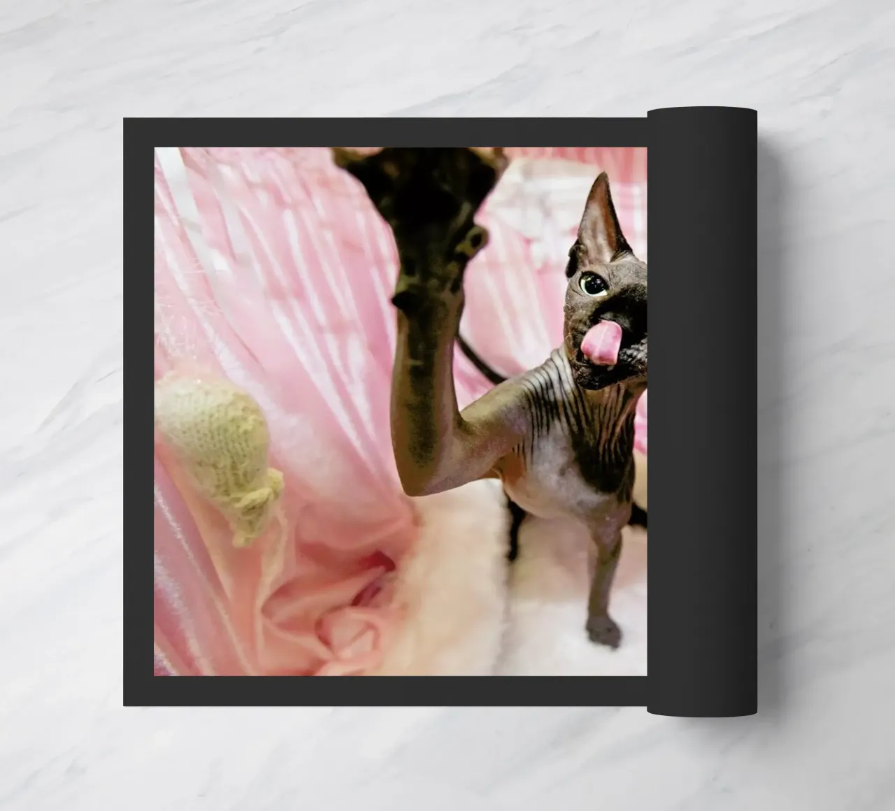 Cat Show zerbino da Charlotte Curd