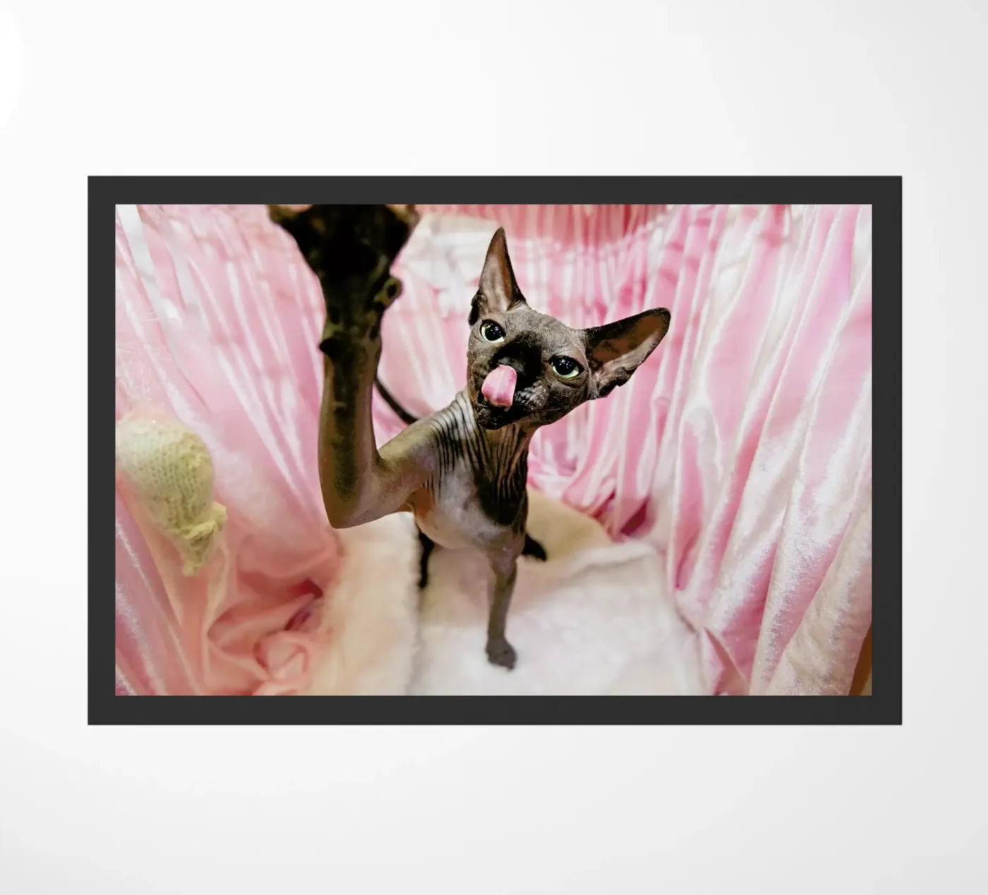 Cat Show deurmat van Charlotte Curd