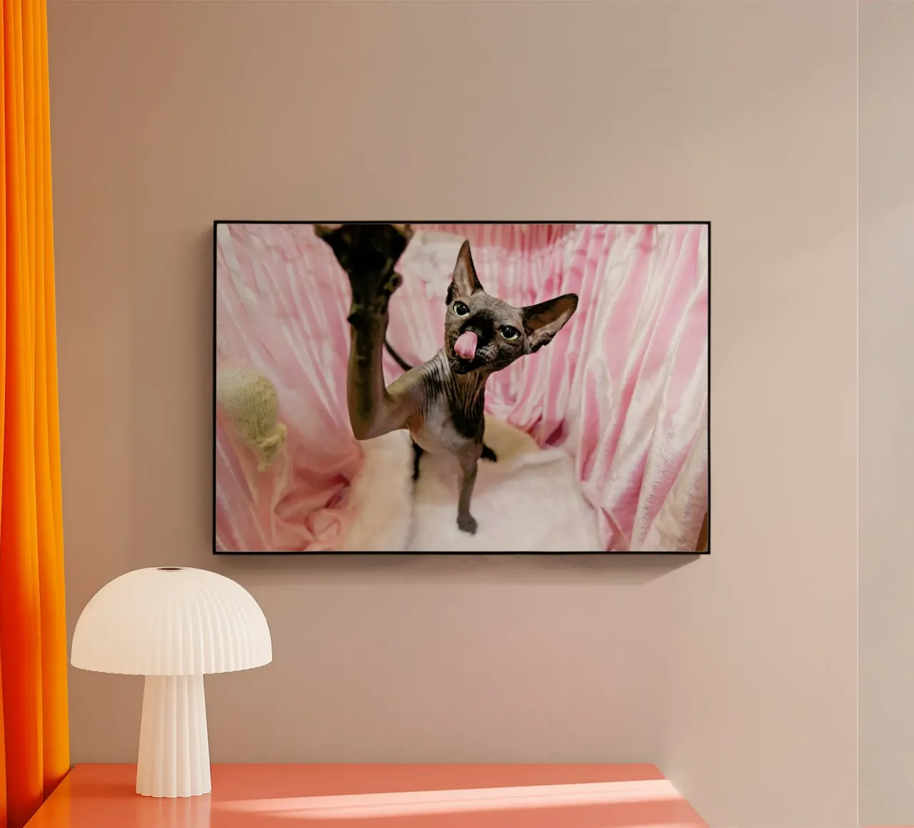 Cat Show plexiglass da Charlotte Curd