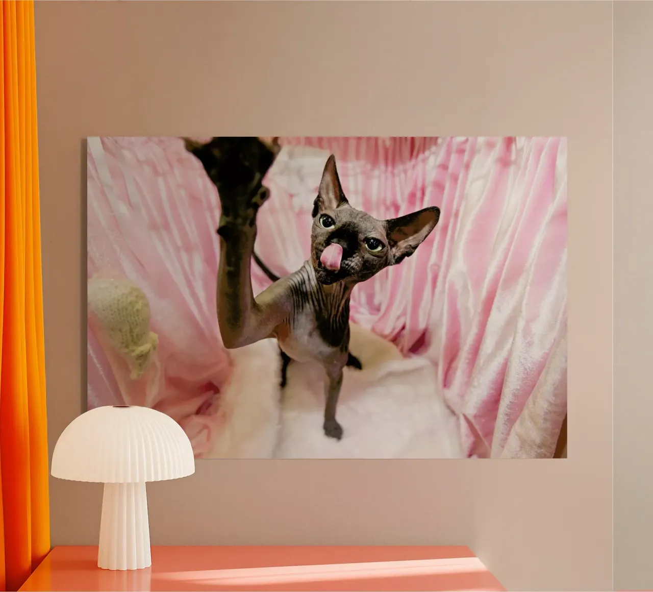 Cat Show plexiglass da Charlotte Curd