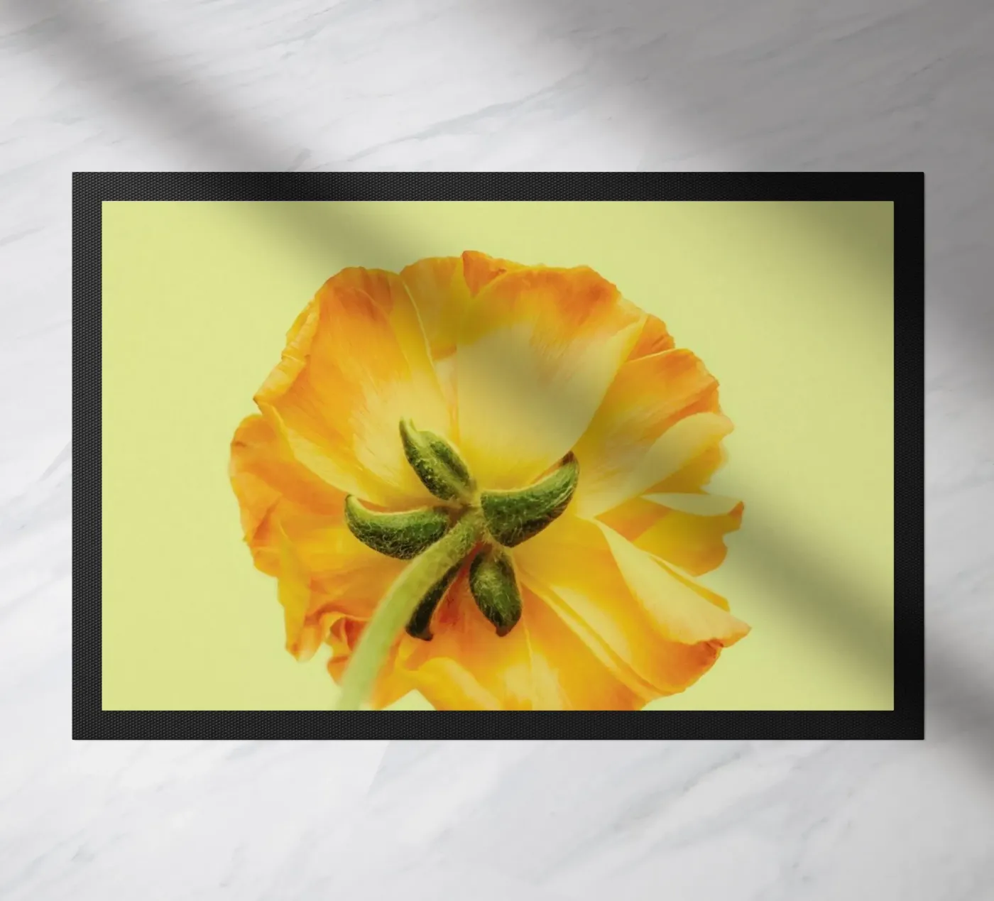 Behind You zerbino da Morgan Kendall