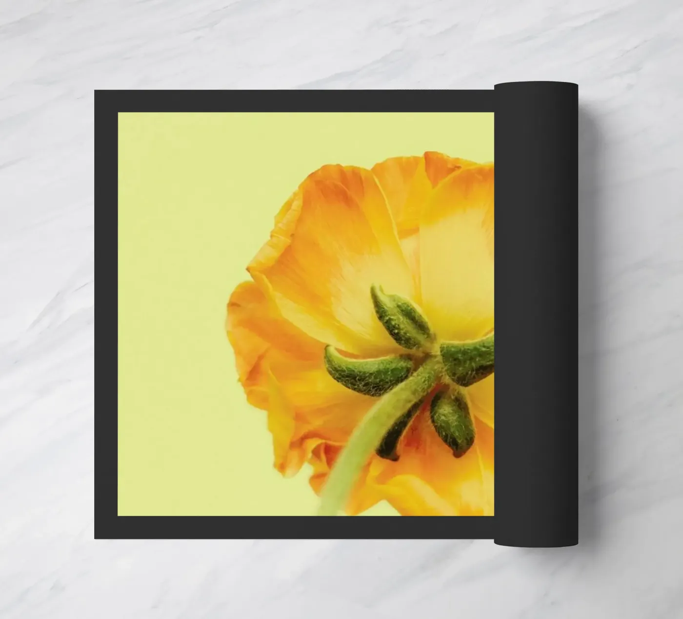 Behind You zerbino da Morgan Kendall