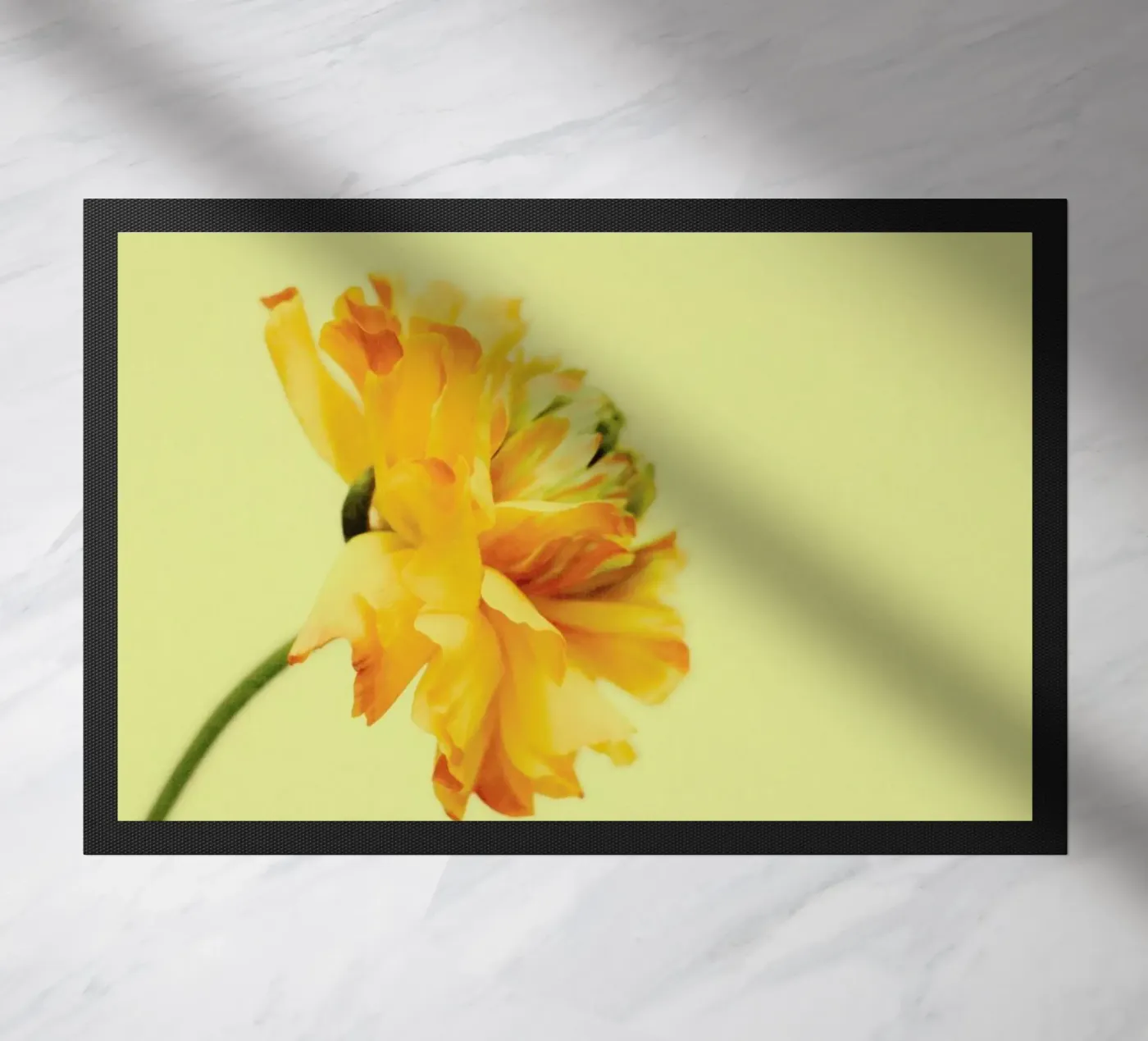 S'ouvrir zerbino da Morgan Kendall