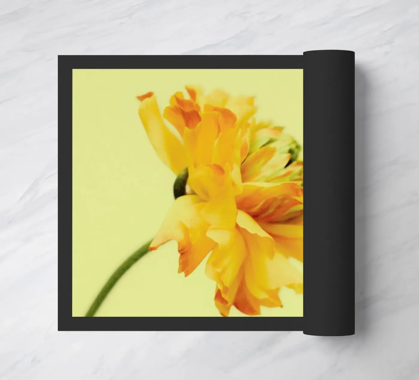 S'ouvrir zerbino da Morgan Kendall