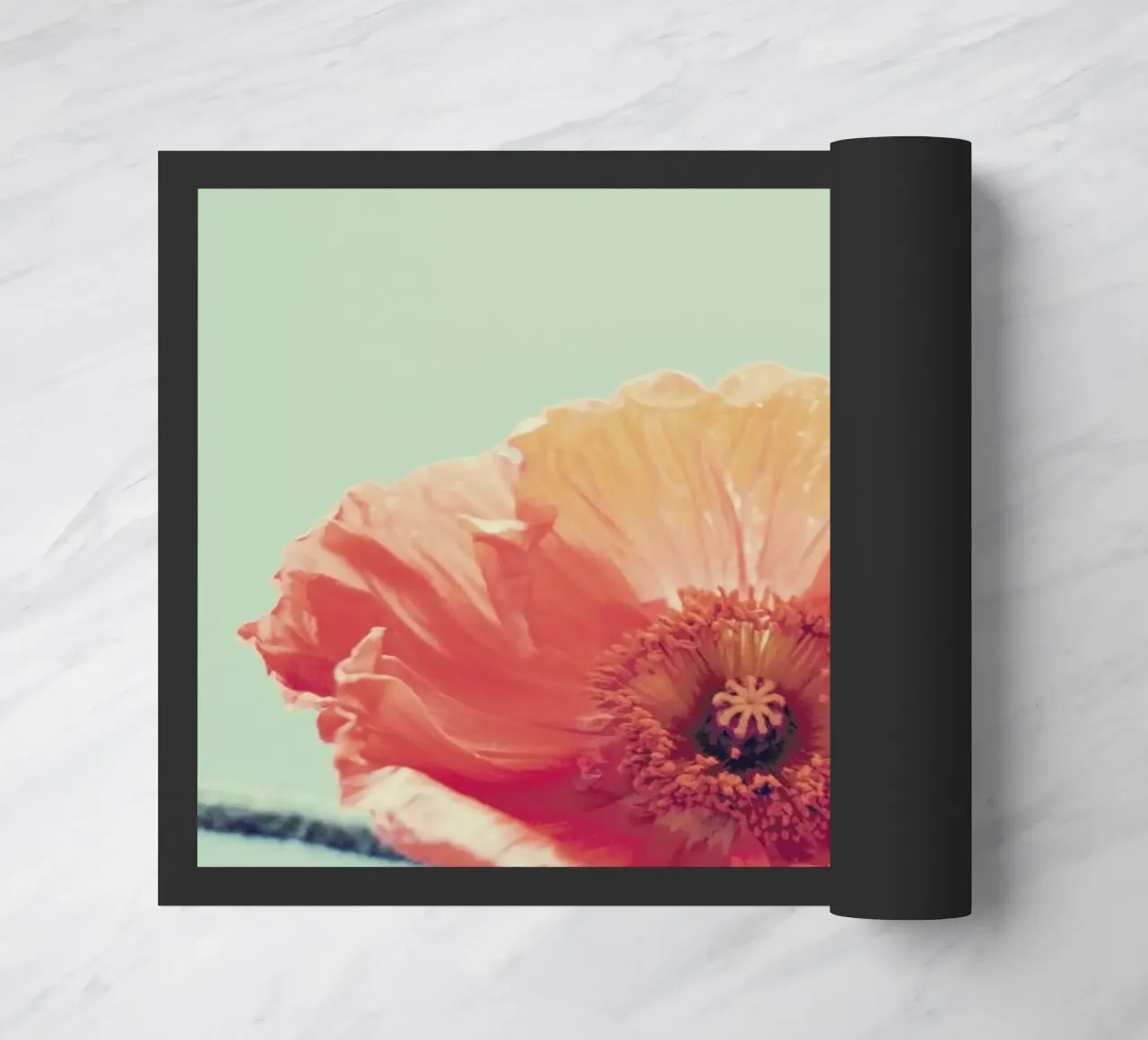 Peel zerbino da Morgan Kendall