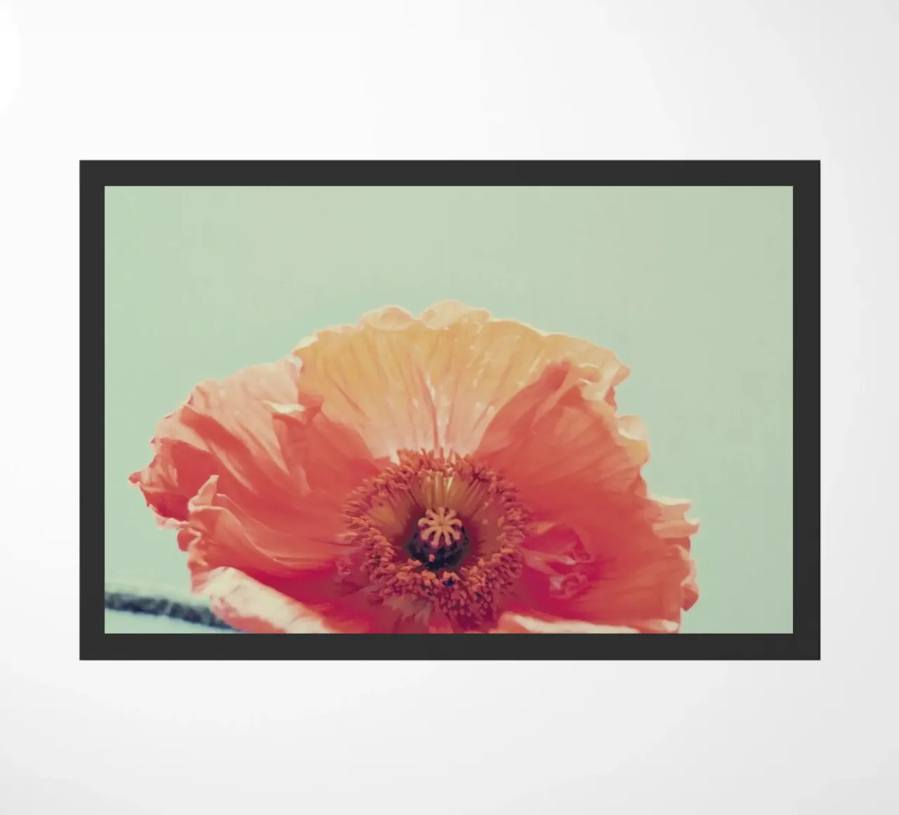 Peel zerbino da Morgan Kendall