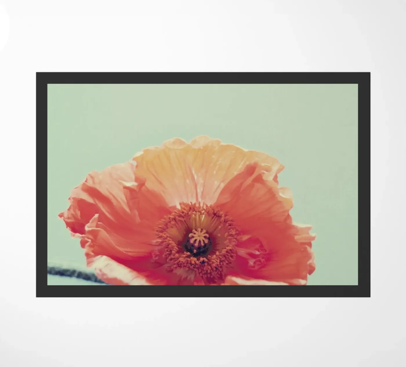 Peel deurmat van Morgan Kendall