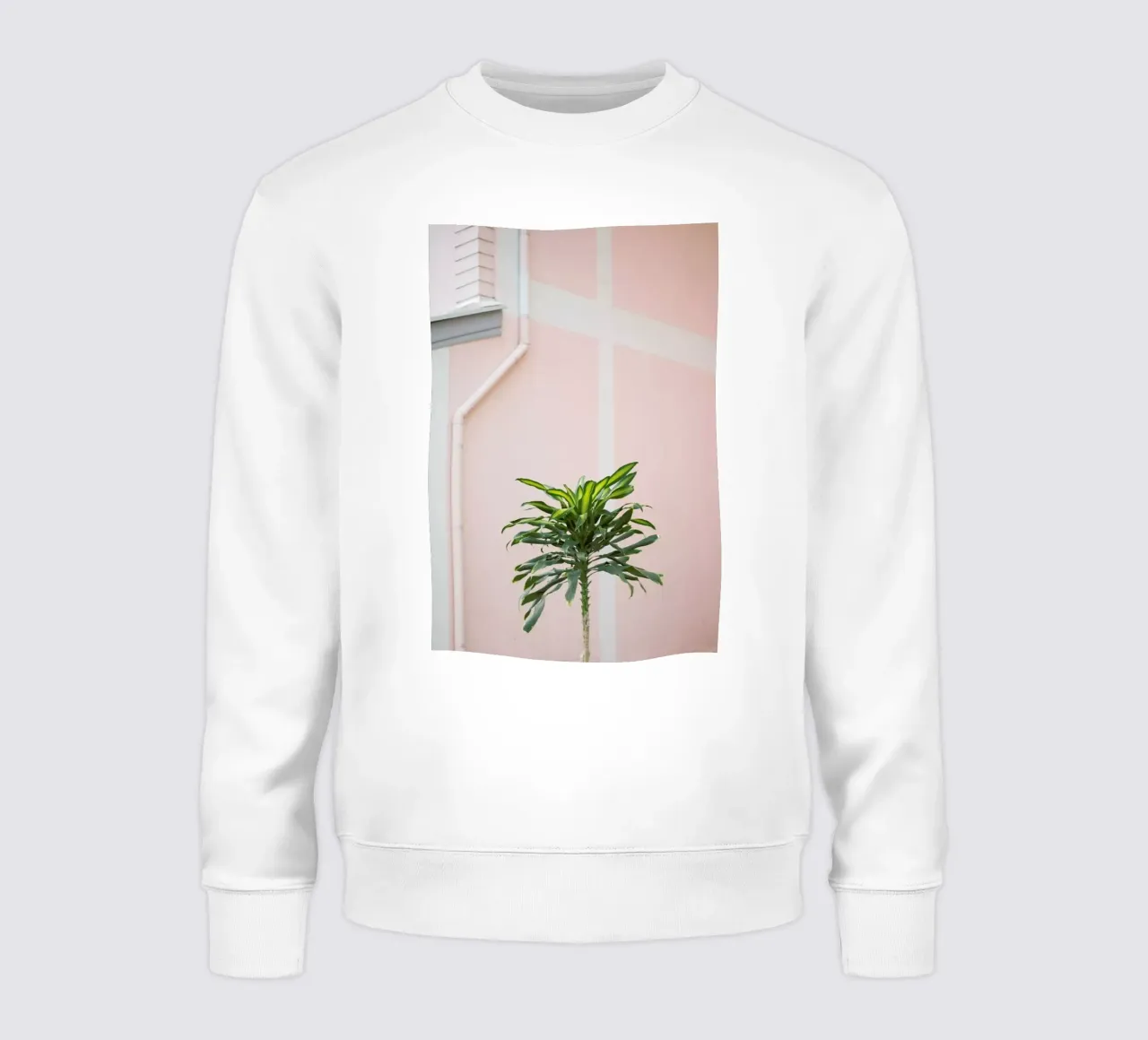 Pastel Palms felpa da Charlotte Curd
