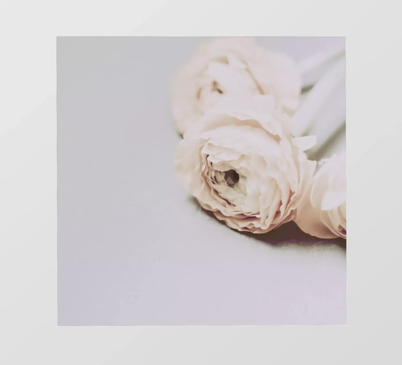 Innoscence pellicola backlit da Morgan Kendall