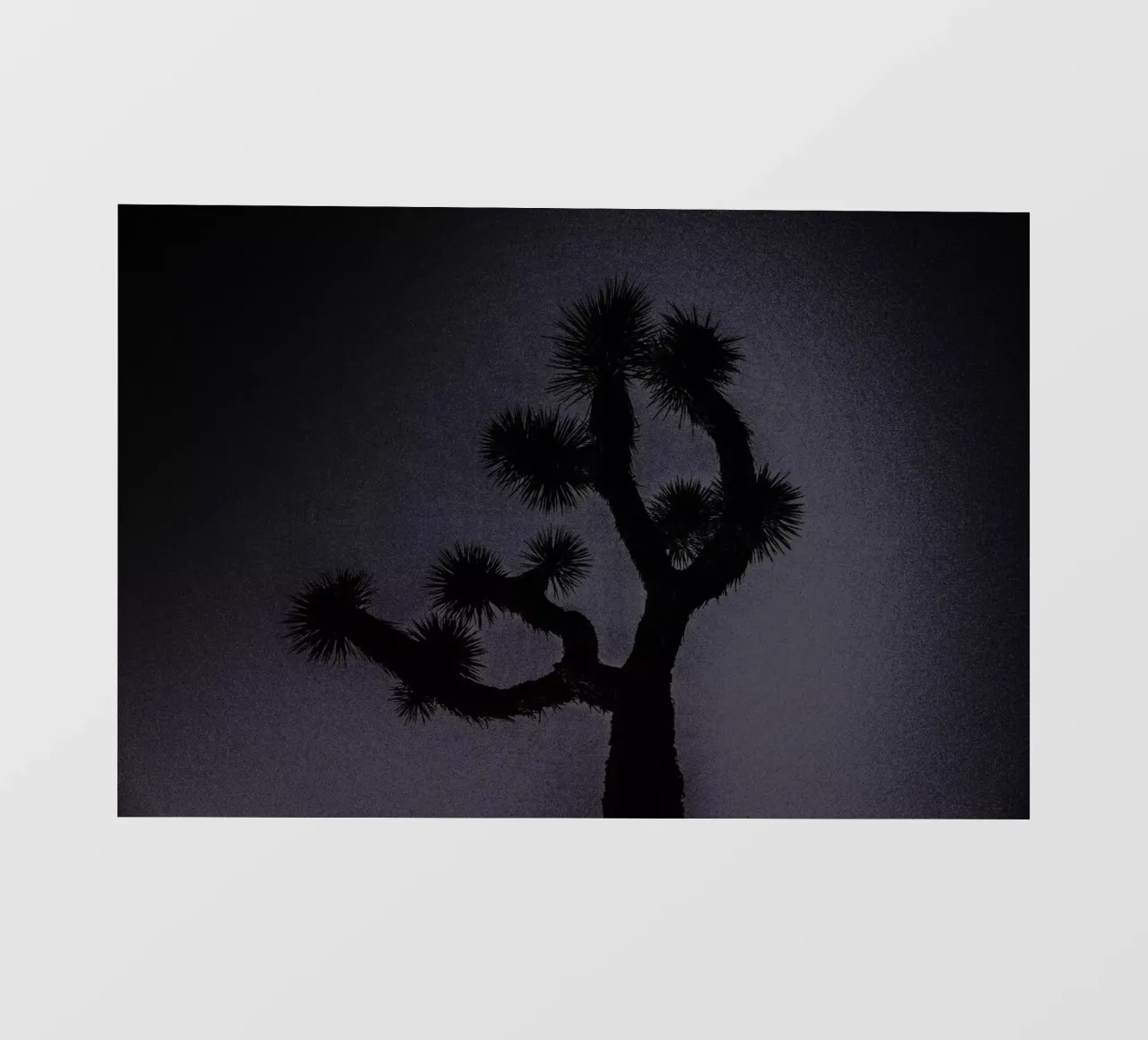 Joshua telo in pvc da Chris Abatzis