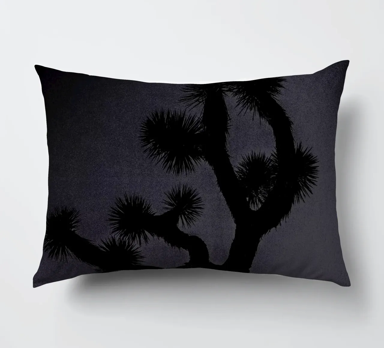 Joshua cuscino da Chris Abatzis