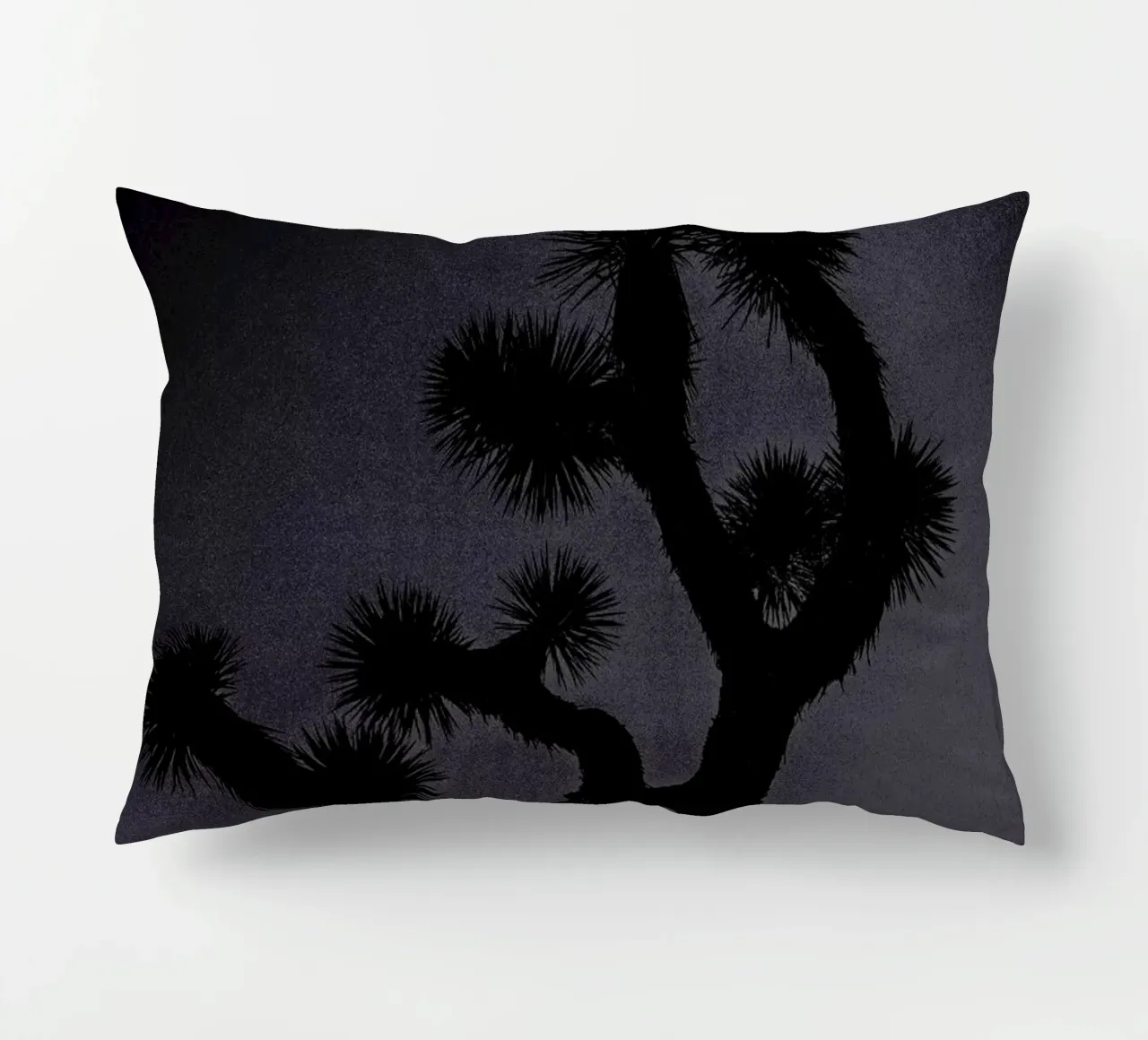 Joshua cuscino da Chris Abatzis