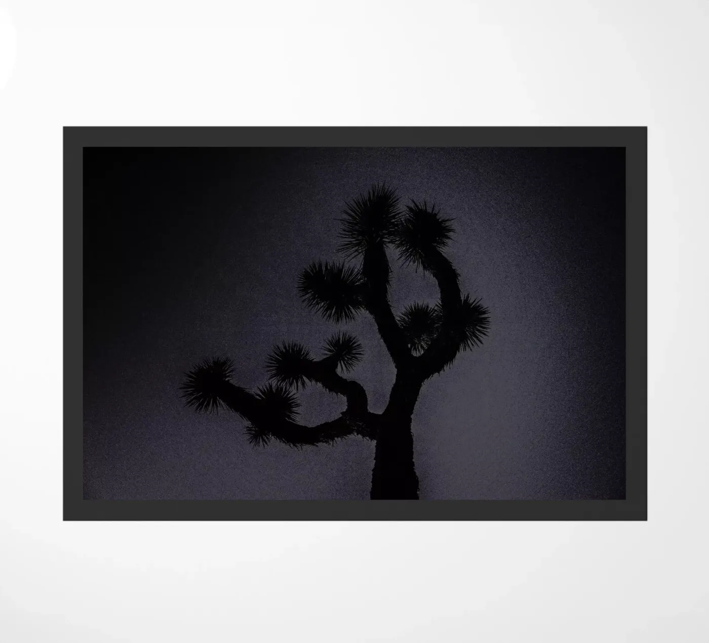 Joshua zerbino da Chris Abatzis