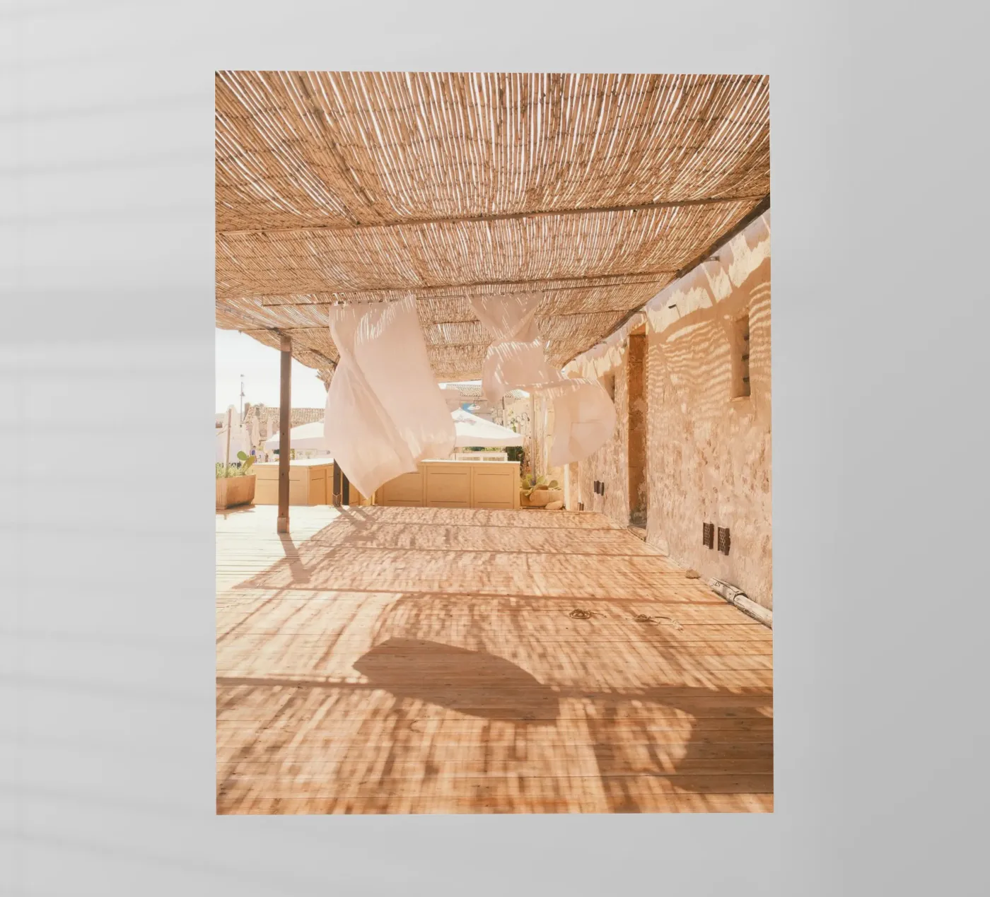 Dancing Shadows pellicola backlit da FujiPrints