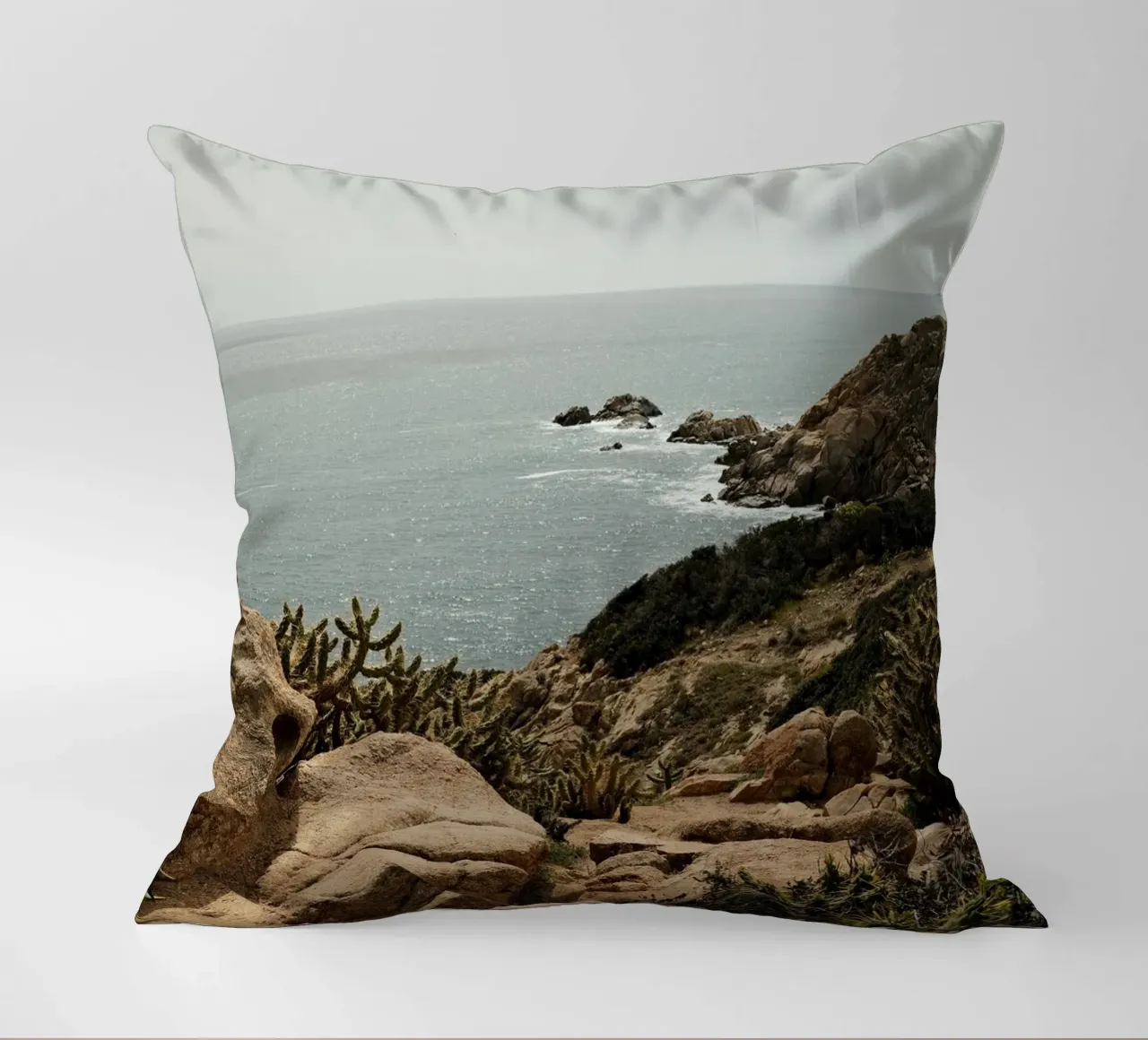Cacti on Rocky Hill decorative cushion by FujiPrints