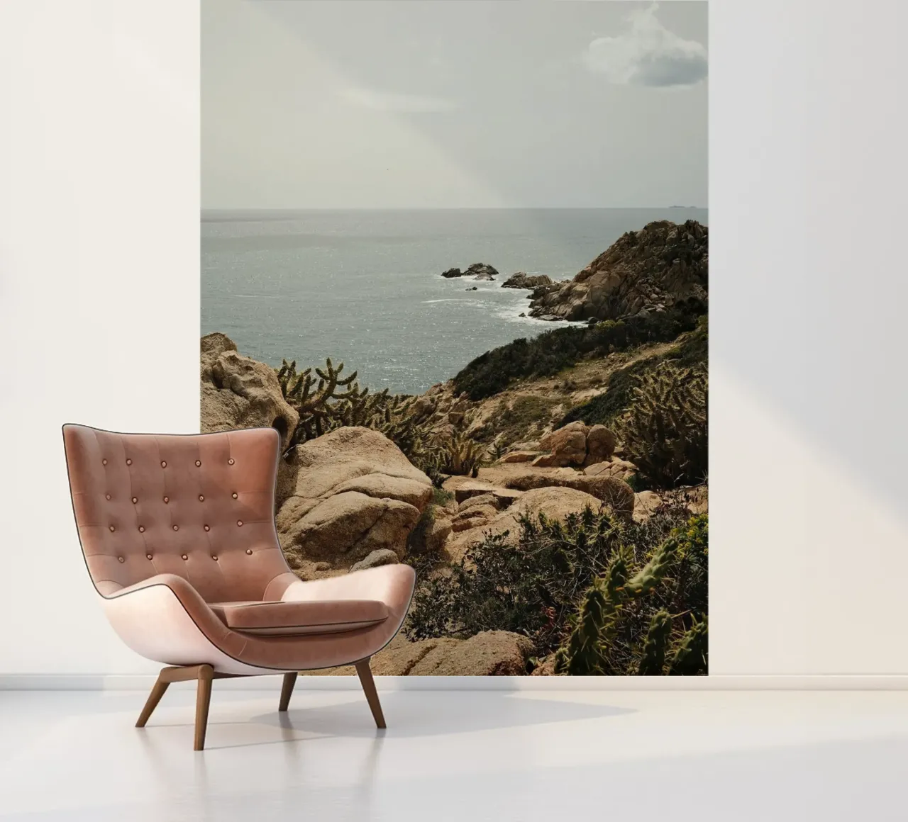 Cacti on Rocky Hill photo wallpaper by FujiPrints