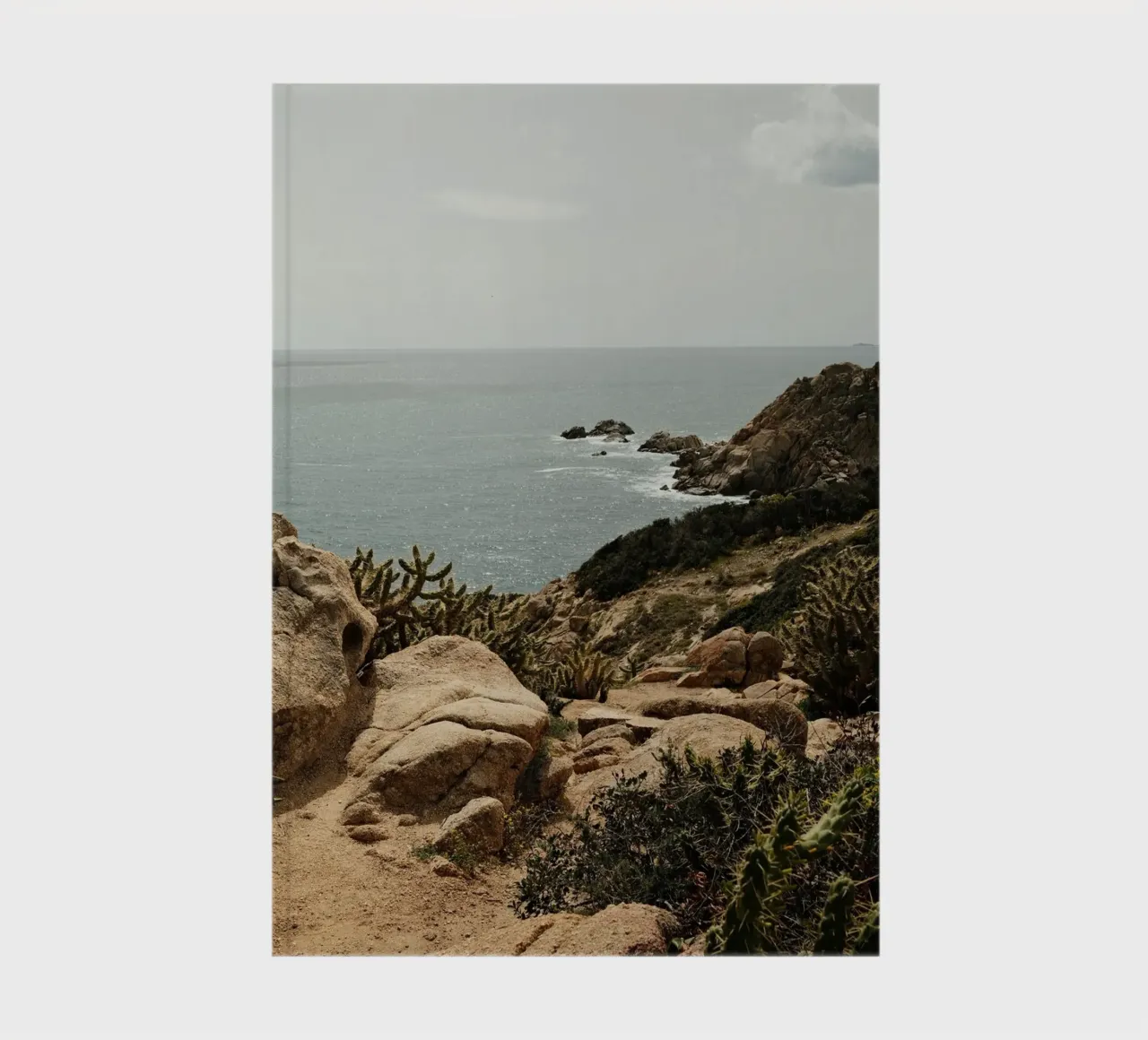 Cacti on Rocky Hill notebook by FujiPrints