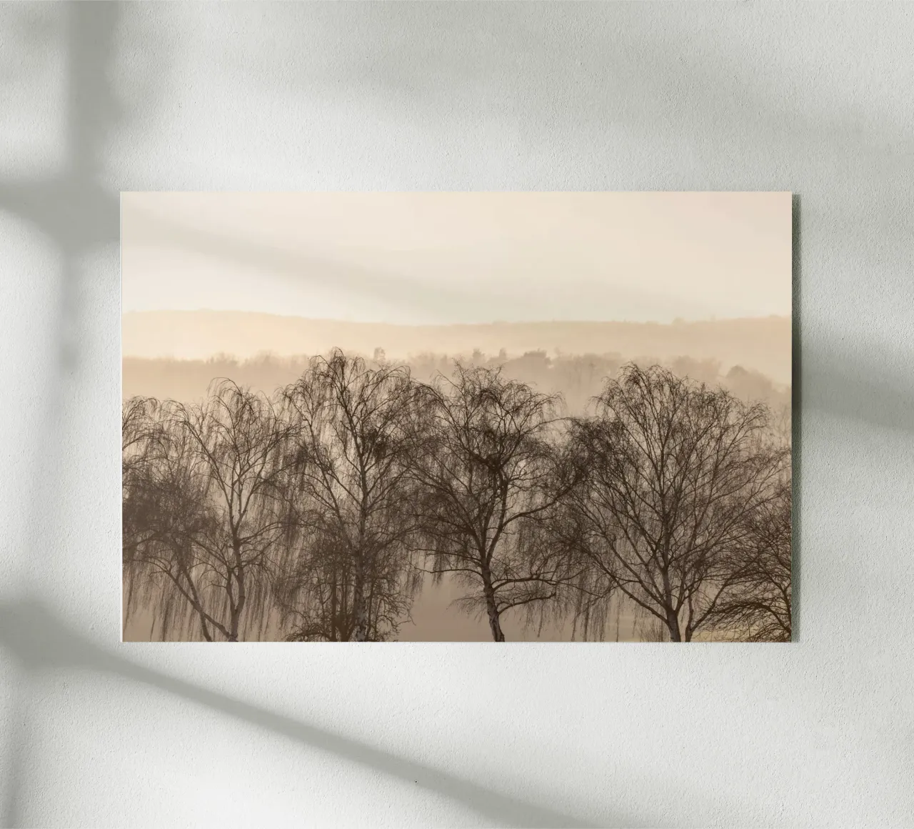 Fading Horizons 1 plexiglass da Mareike Böhmer Photography