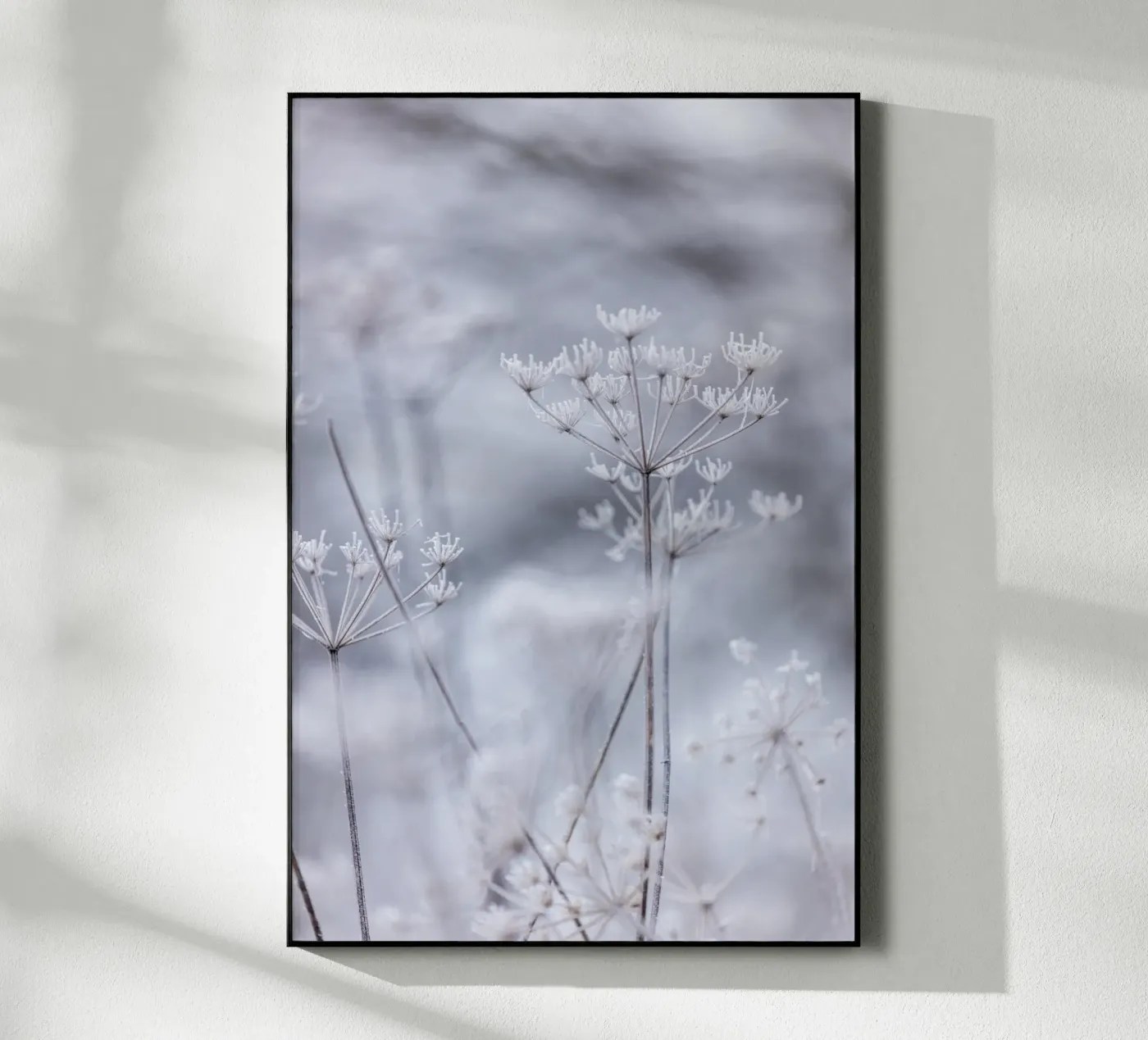 Frozen 5 plexiglas de Mareike Böhmer Photography