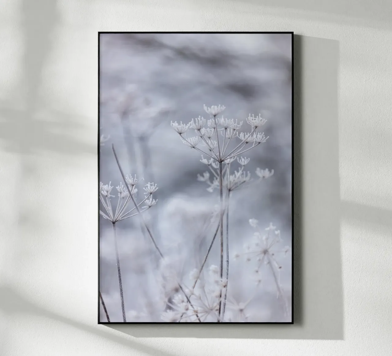 Frozen 5 plexiglass da Mareike Böhmer Photography