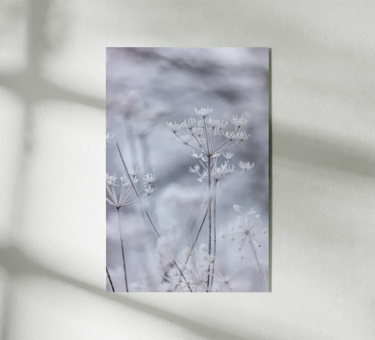 Frozen 5 plexiglass da Mareike Böhmer Photography