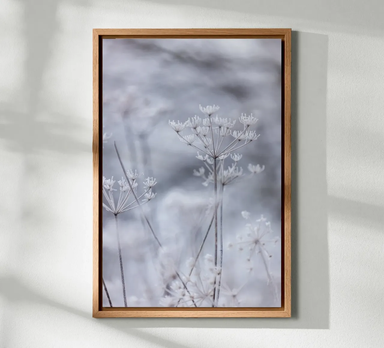 Frozen 5 alluminio dibond da Mareike Böhmer Photography