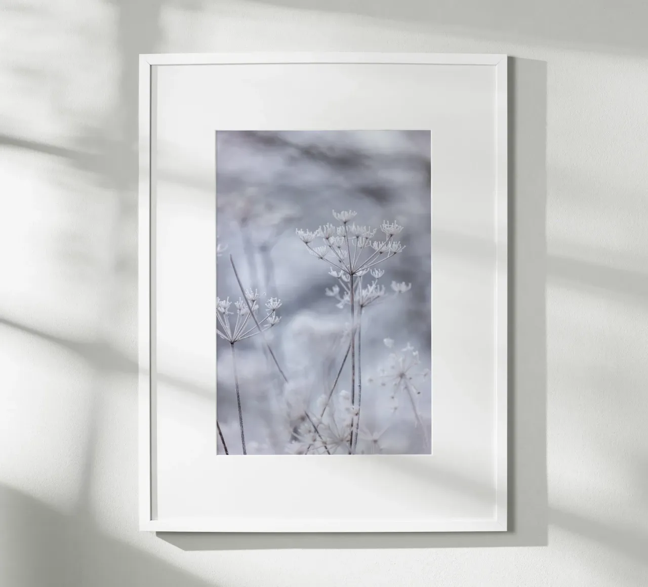Frozen 5 carta hahnemühle da Mareike Böhmer Photography