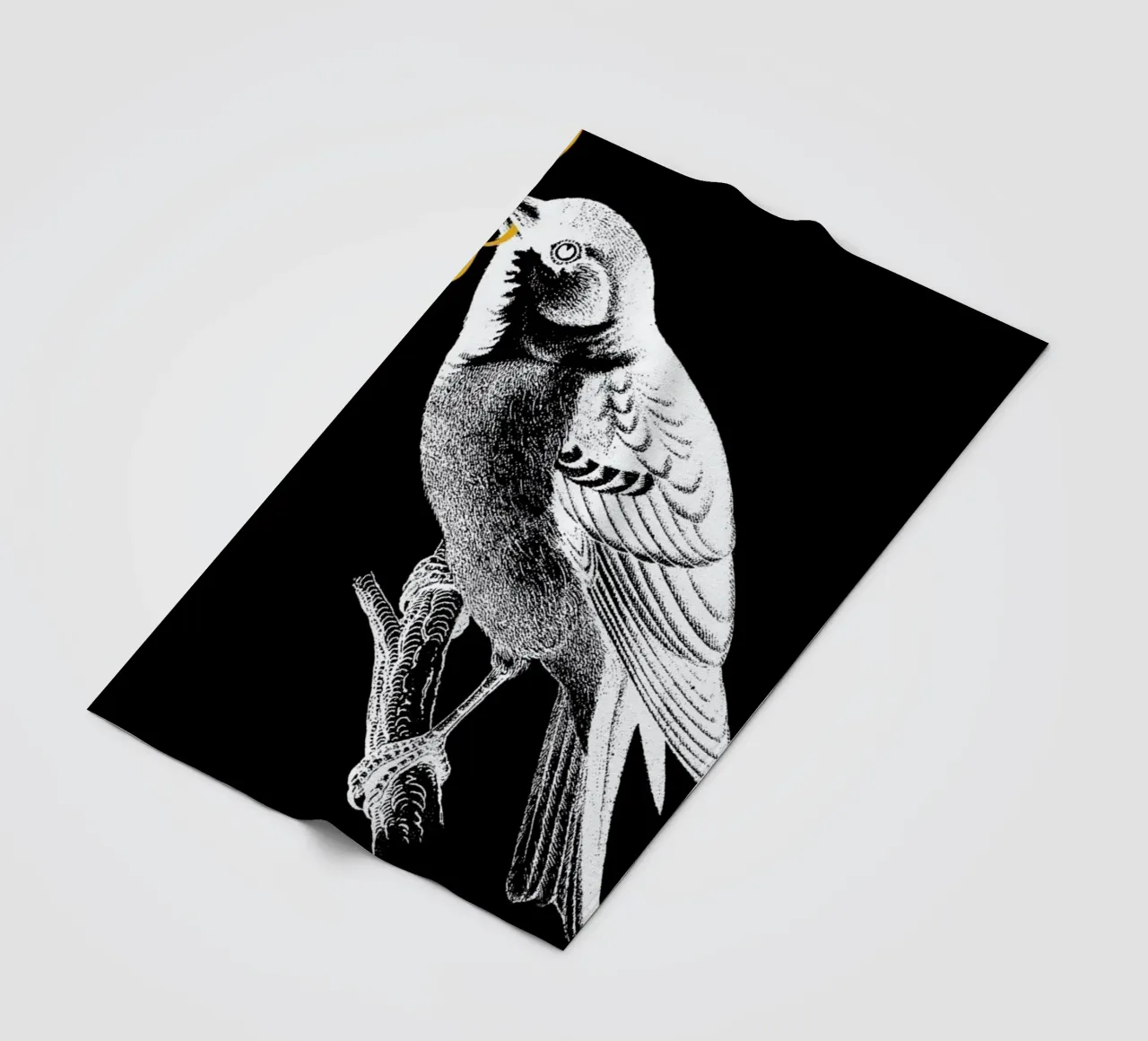 Dinner Fleecedecke von Tobe Fonseca