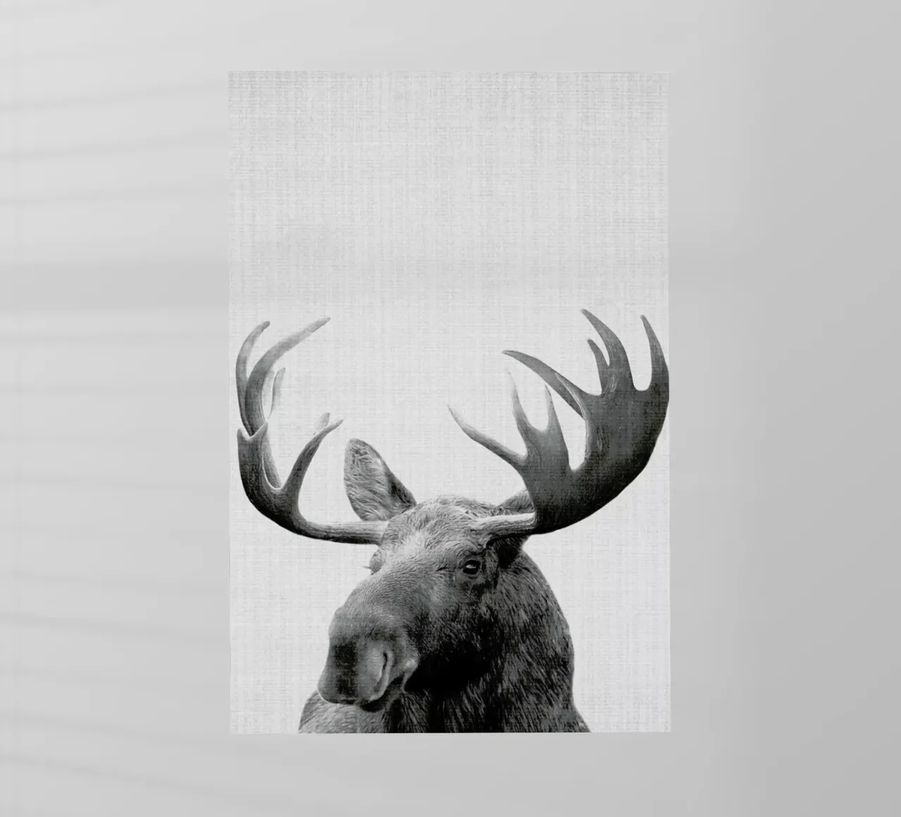 Print 37 pellicola backlit da Lila & Lola