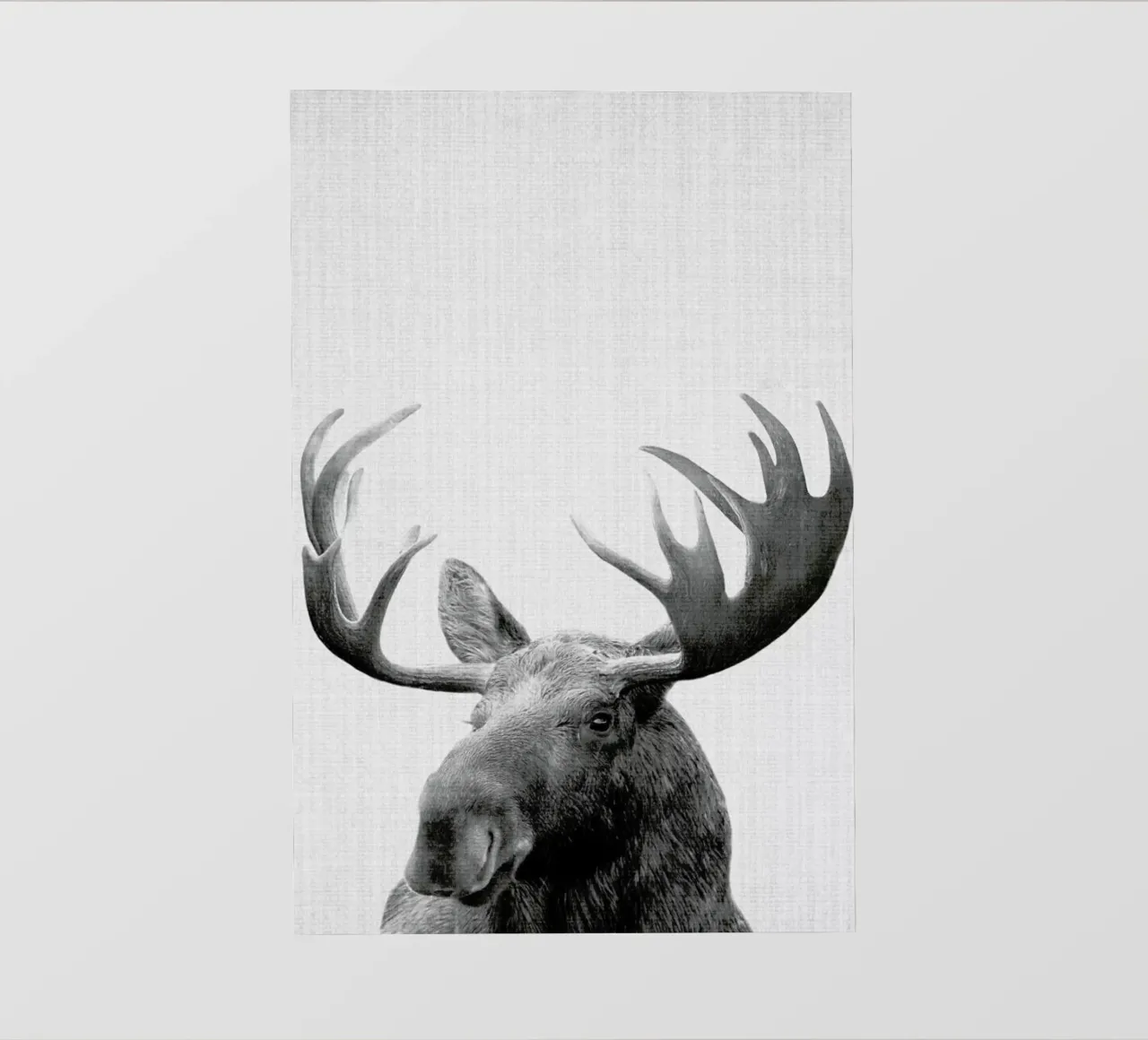 Print 37 pellicola backlit da Lila & Lola