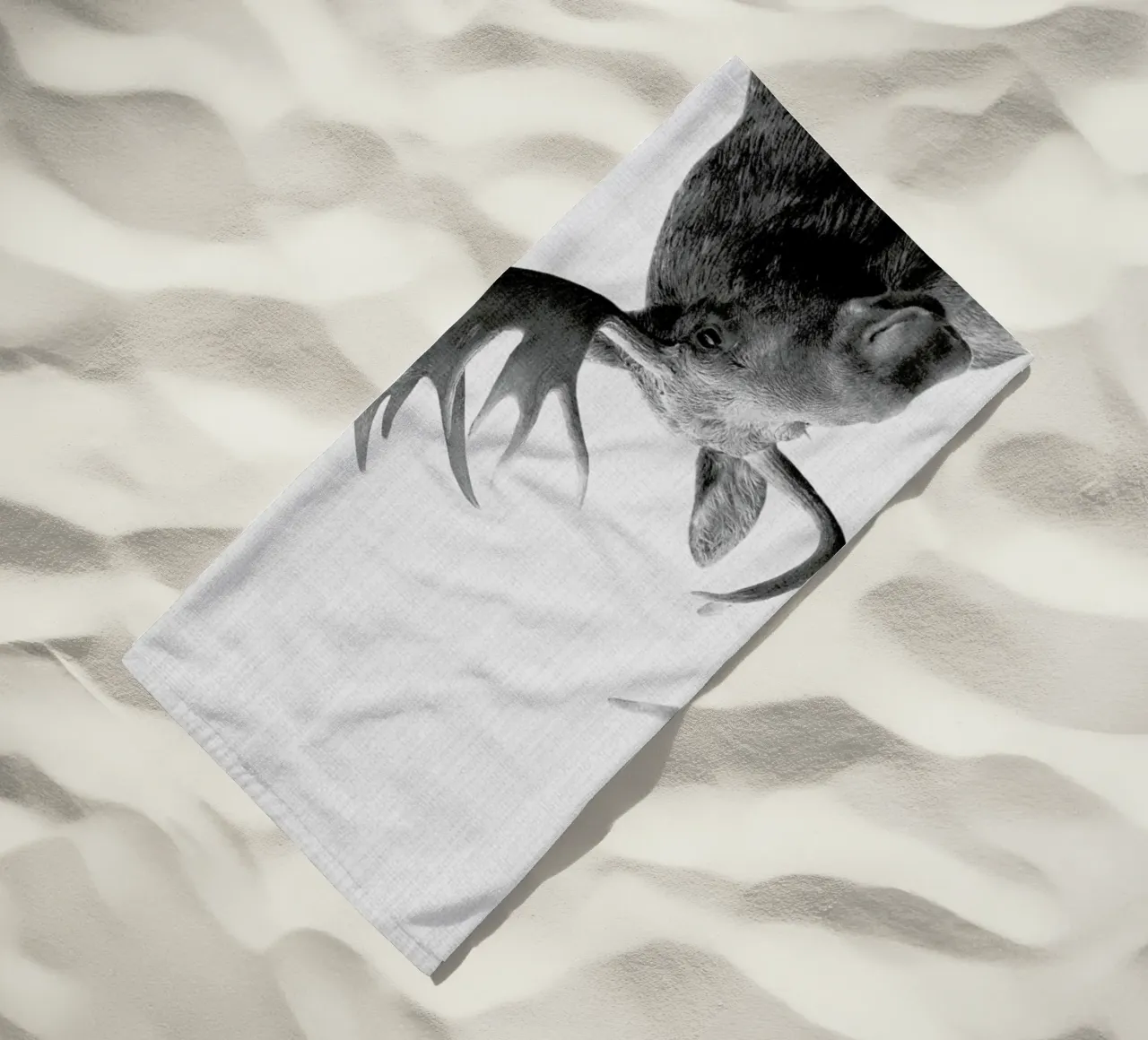 Print 37 telo mare da Lila & Lola