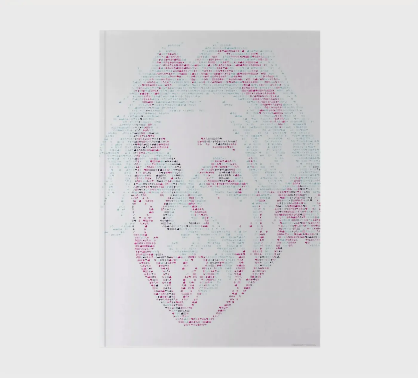 Albert notebook by Viktor Hertz