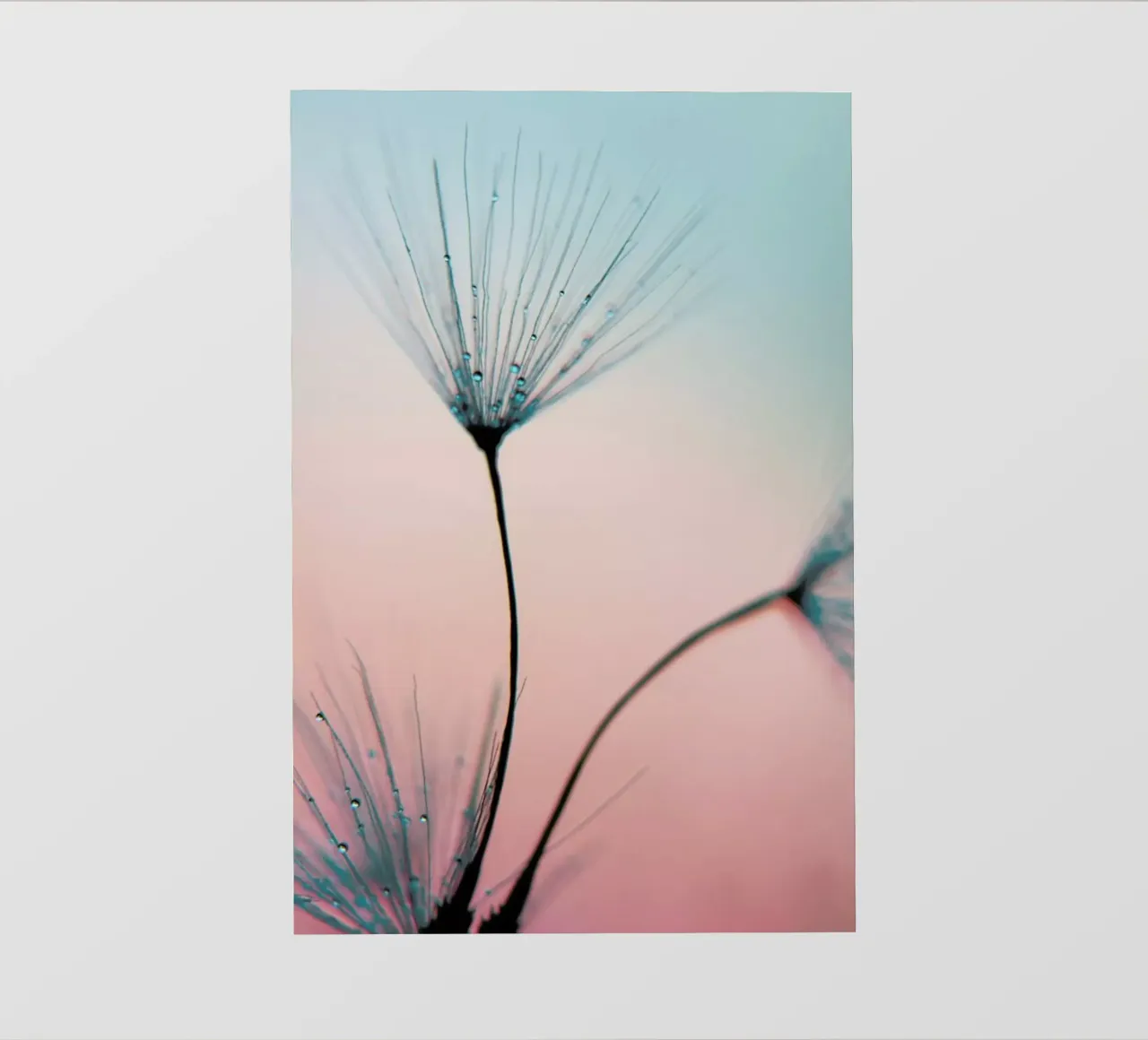 Sprinkles Of Love pellicola backlit da Ingrid Beddoes