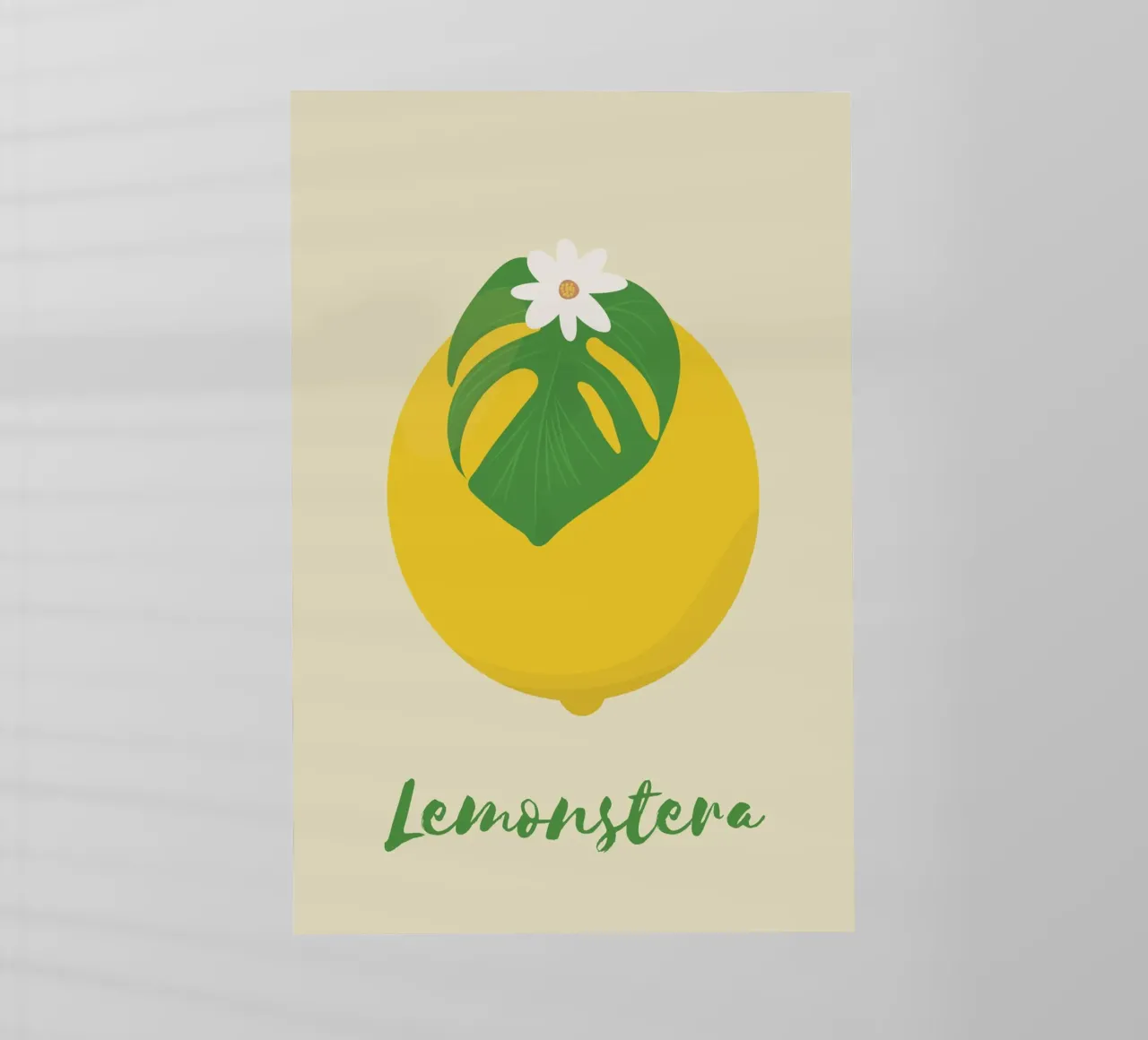 Monstera al limone pellicola backlit da pierosvisuals