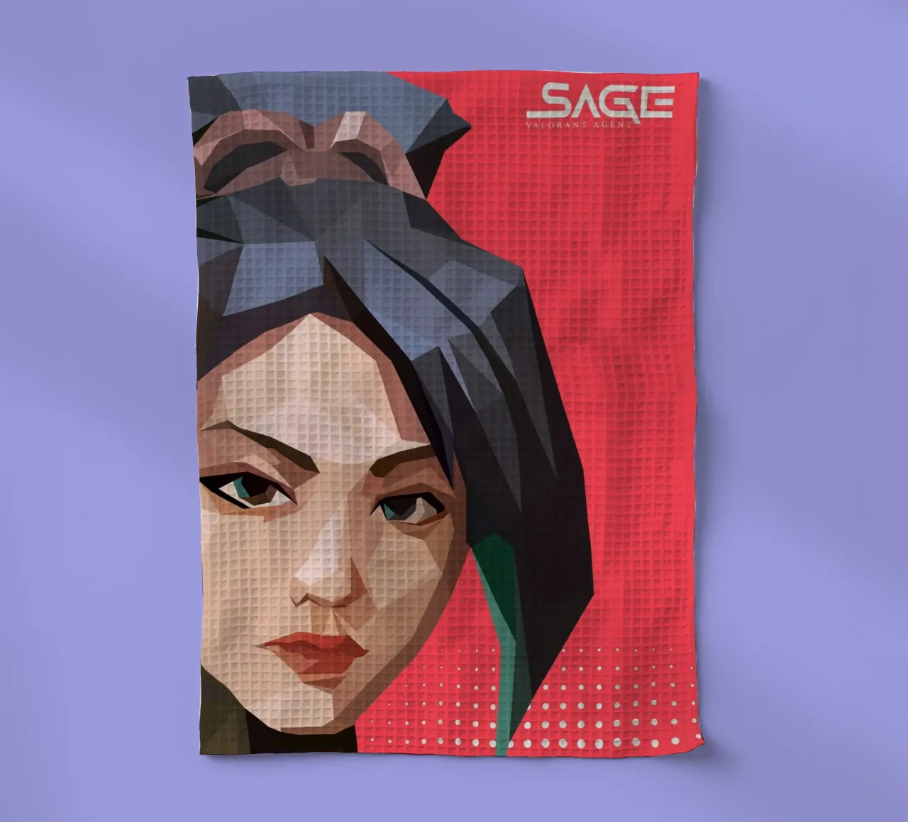 Sage character game canovaccio da cucina da Low poly art