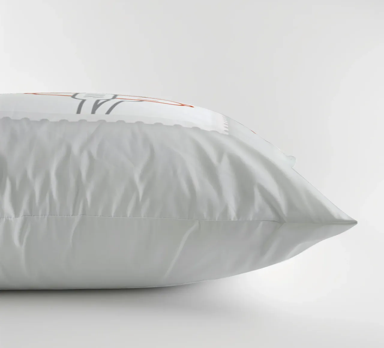 BBQ decorative cushion by Dean Smith