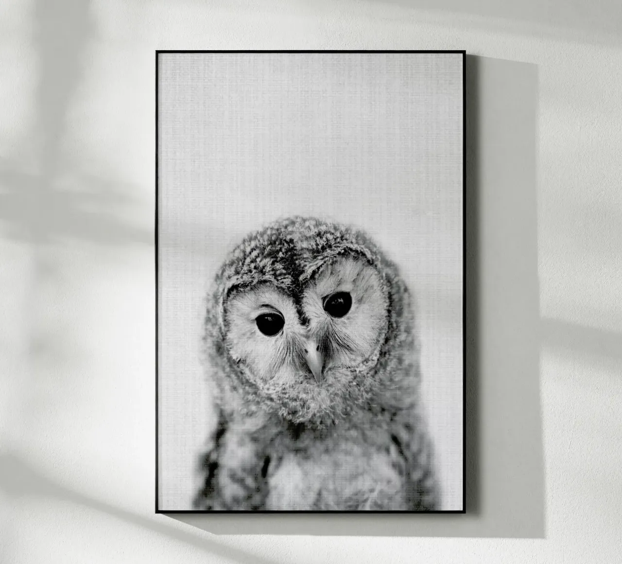 Print 282 plexiglass da Lila & Lola