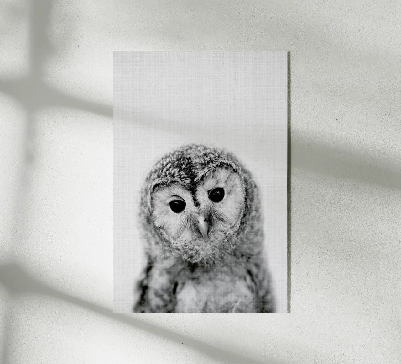 Print 282 plexiglass da Lila & Lola